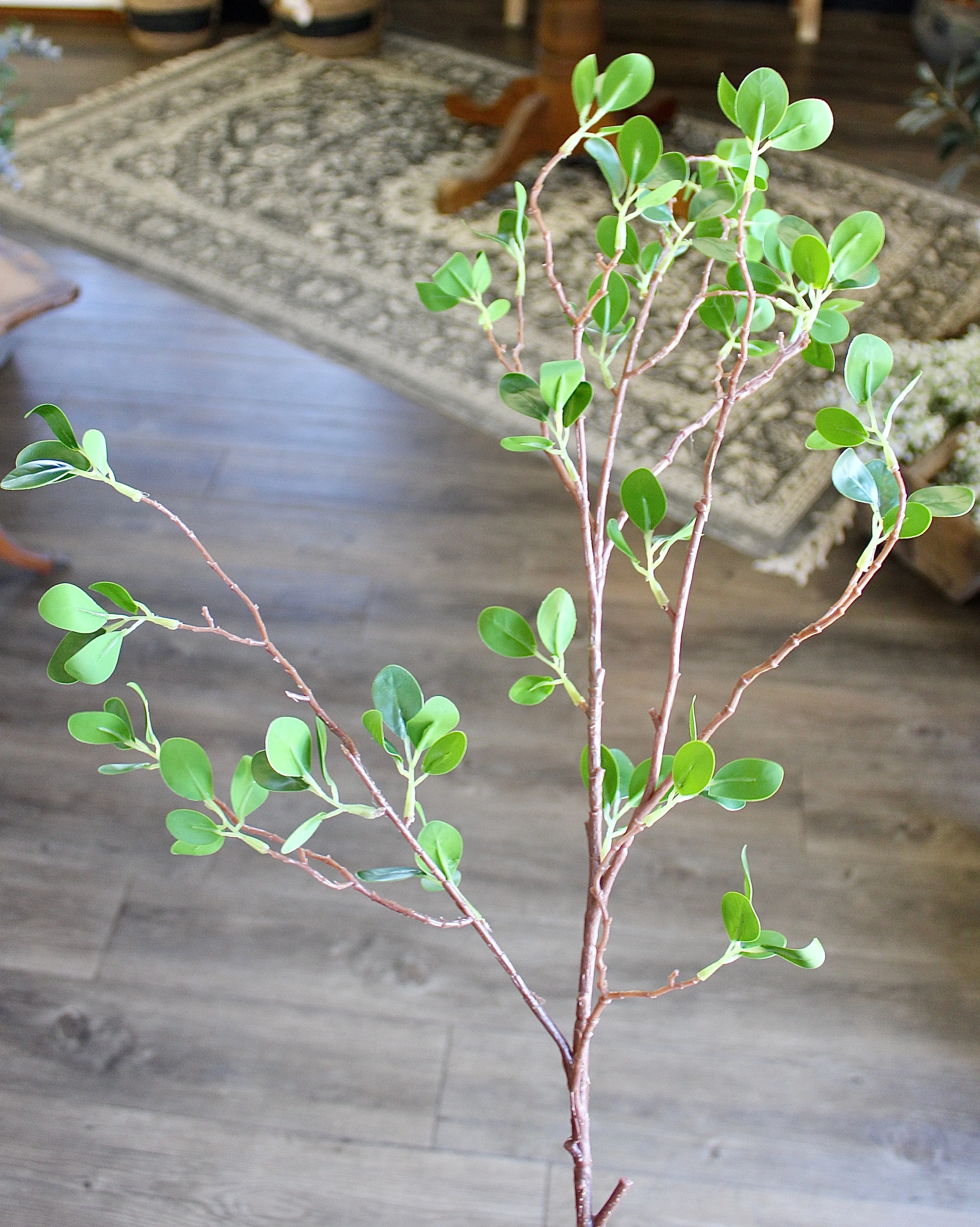 Mini Leaf Ficus Spray